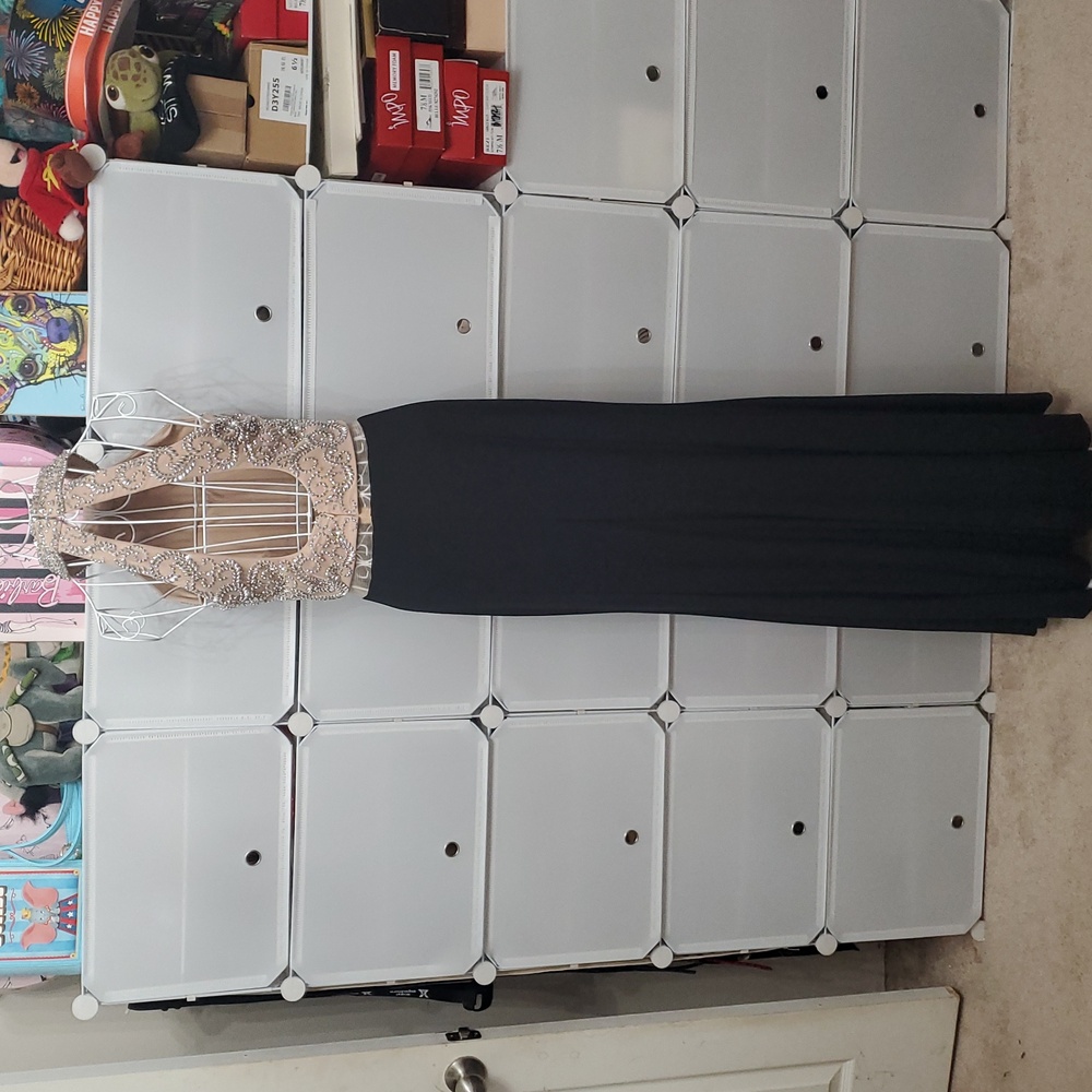 Cachet Beaded Gown Size 6 - Picture 7 of 11